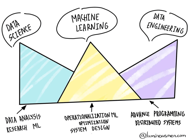 data scientist machine learning